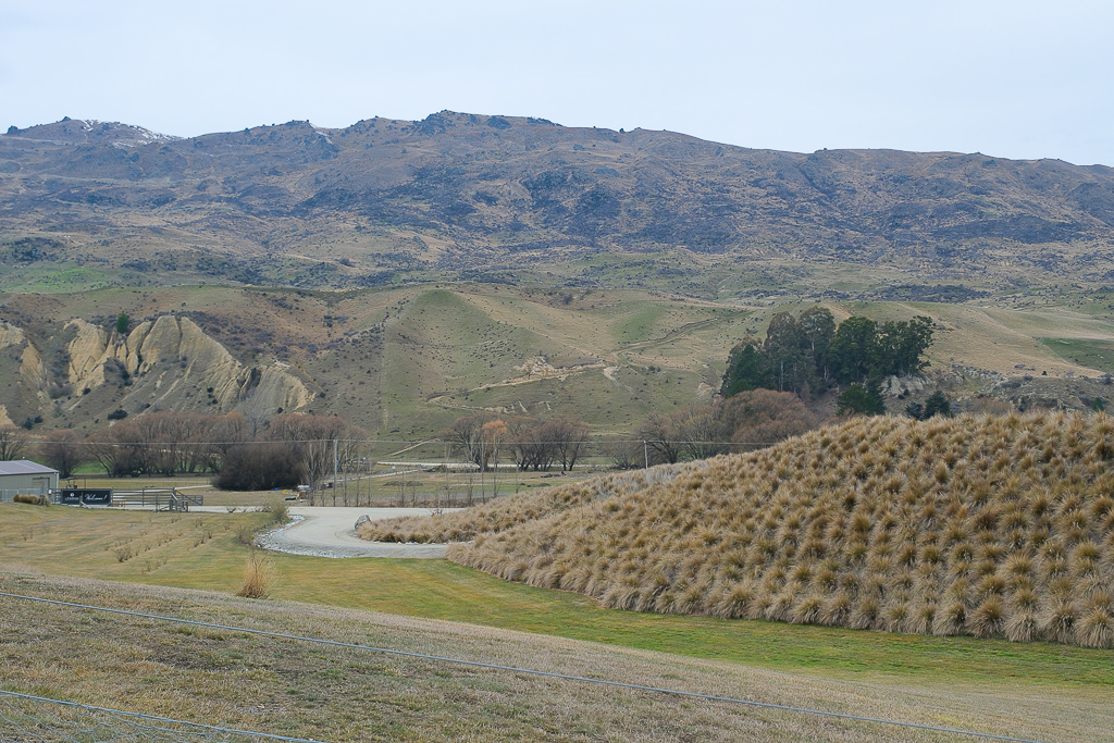 紐西蘭南島|卡德羅納胸罩圍欄.著名的Cardrona Bra Fence,瓦納卡奇特打卡景點 @飛天璇的口袋 紐西蘭南島|卡德羅納胸罩圍欄.著名的Cardrona Bra Fence,瓦納卡奇特打卡景點 @飛天璇的口袋