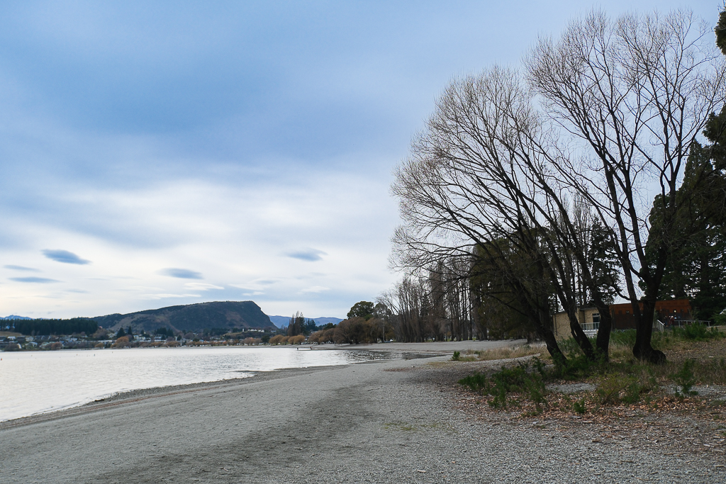 紐西蘭南島｜瓦納卡之樹 That Wānaka tree．全世界最孤獨的樹，南島必訪唯美小鎮 @飛天璇的口袋