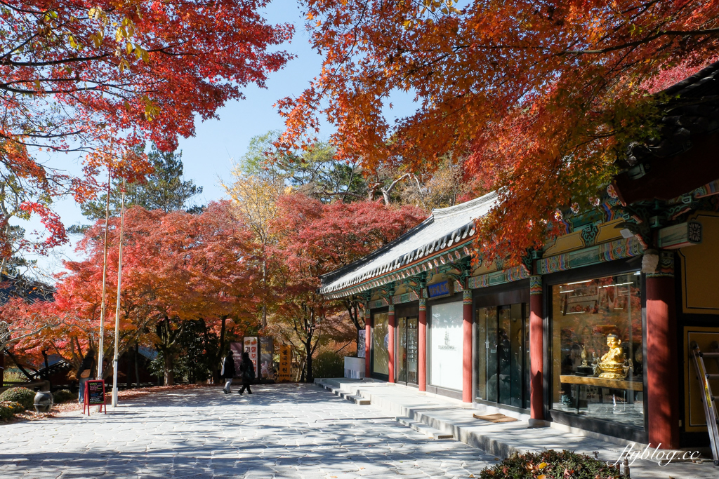 【釜山自由行】釜山5~7天自由行規劃，釜山美食景點住宿懶人包，釜山包車推薦！ @飛天璇的口袋