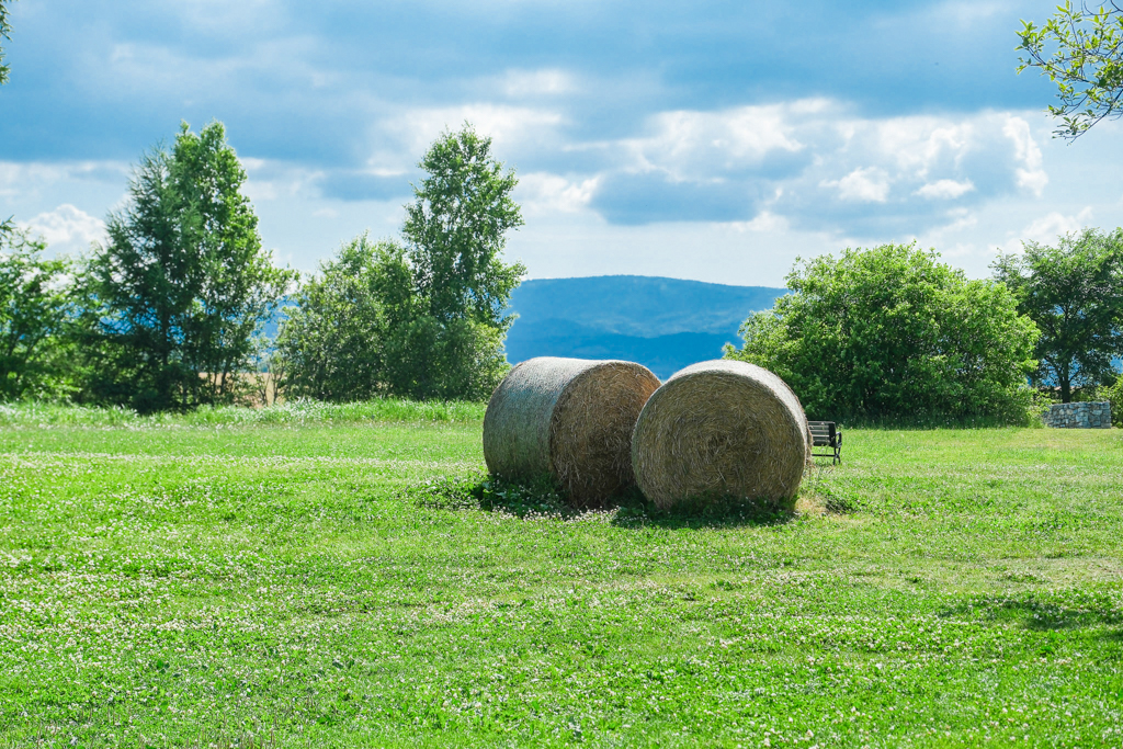 日本北海道｜Ferme La Terre Biei．美瑛農場裡的甜點咖啡，坐擁整片山丘療闊美景 @飛天璇的口袋