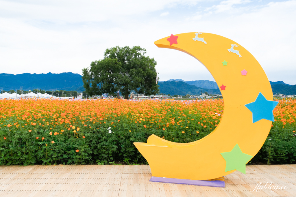 【2025新社花海】台中花毯節11/8登場，可愛的「飛天小女警」主題，三大亮點一次看 @飛天璇的口袋