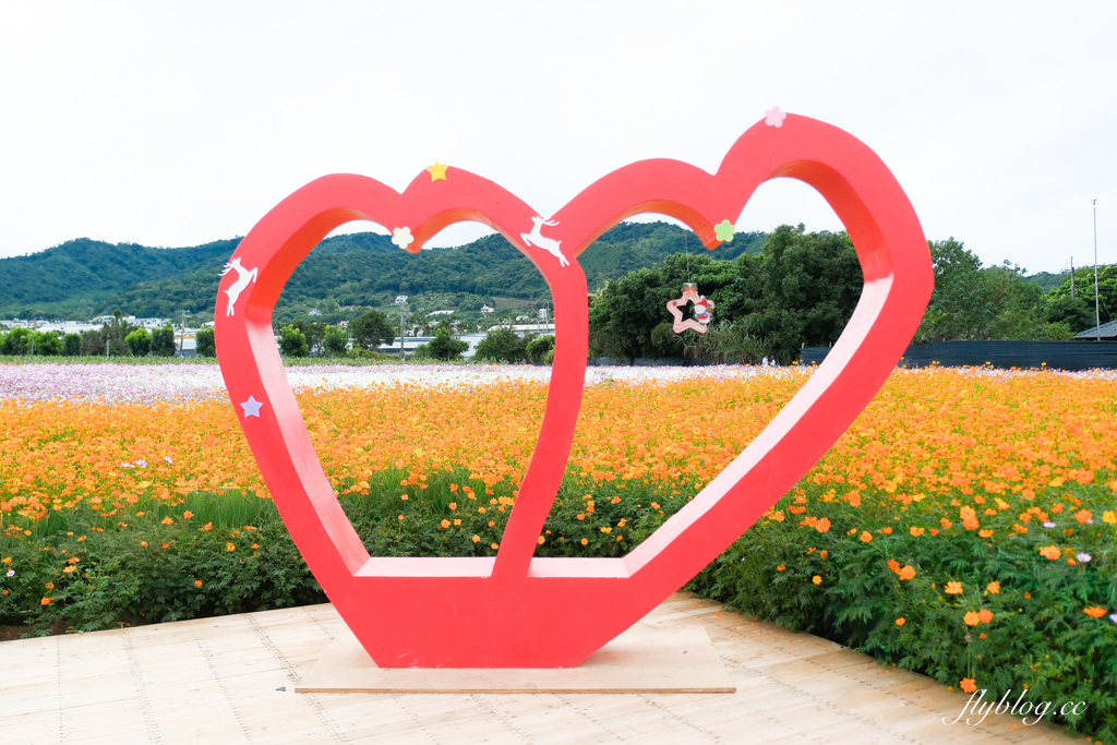 【2025新社花海】台中花毯節11/8登場，可愛的「飛天小女警」主題，三大亮點一次看 @飛天璇的口袋