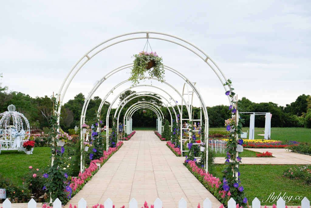 【2025新社花海】台中花毯節11/8登場，可愛的「飛天小女警」主題，三大亮點一次看 @飛天璇的口袋