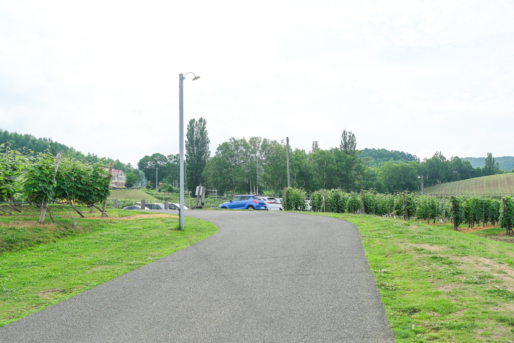 日本北海道｜六花亭富良野店 Campana．座落於葡萄園的絕美景觀，富良野落地窗咖啡館 @飛天璇的口袋