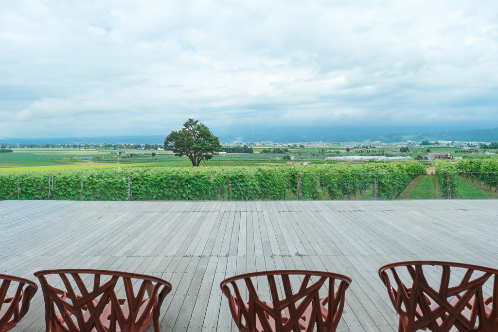 日本北海道｜六花亭富良野店 Campana．座落於葡萄園的絕美景觀，富良野落地窗咖啡館 @飛天璇的口袋