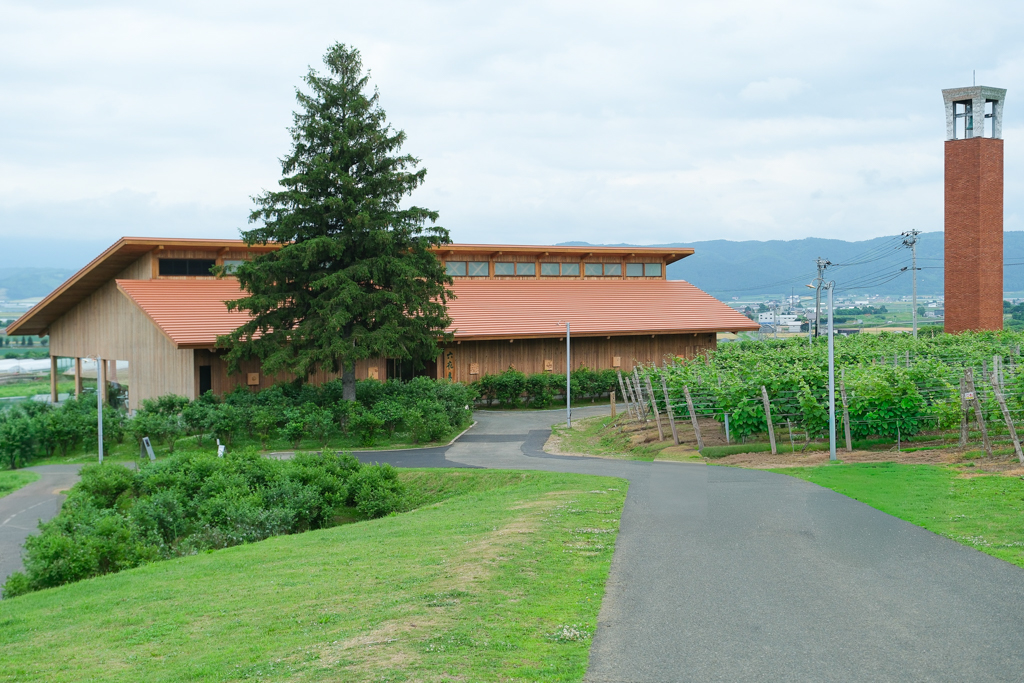 VilaVilla魔法莊園｜苗栗卓蘭景觀餐廳，結合樹屋、沙坑、溜滑梯，苗栗親子美食旅遊景點推薦 @飛天璇的口袋