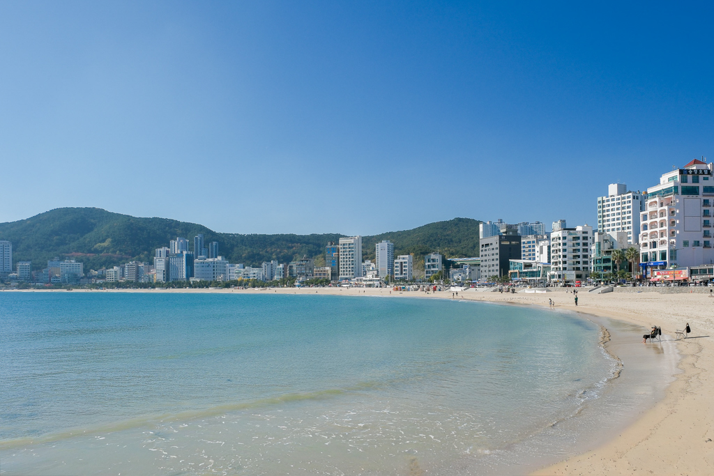 嘉義東區｜森林之歌．IG網美打卡嘉義熱門景點，漂亮又浪漫的裝置藝術 @飛天璇的口袋