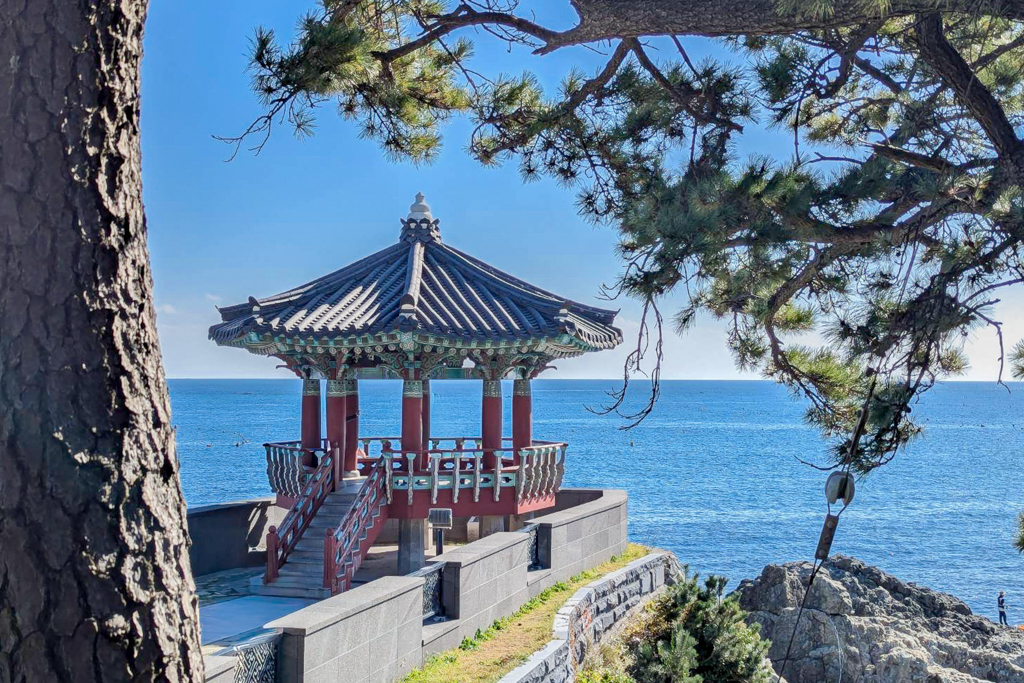 韓國釜山|松亭海水浴場.釜山純白貝殼灣沙灘,散步到竹島公園松日亭 @飛天璇的口袋 韓國釜山|松亭海水浴場.釜山純白貝殼灣沙灘,散步到竹島公園松日亭 @飛天璇的口袋