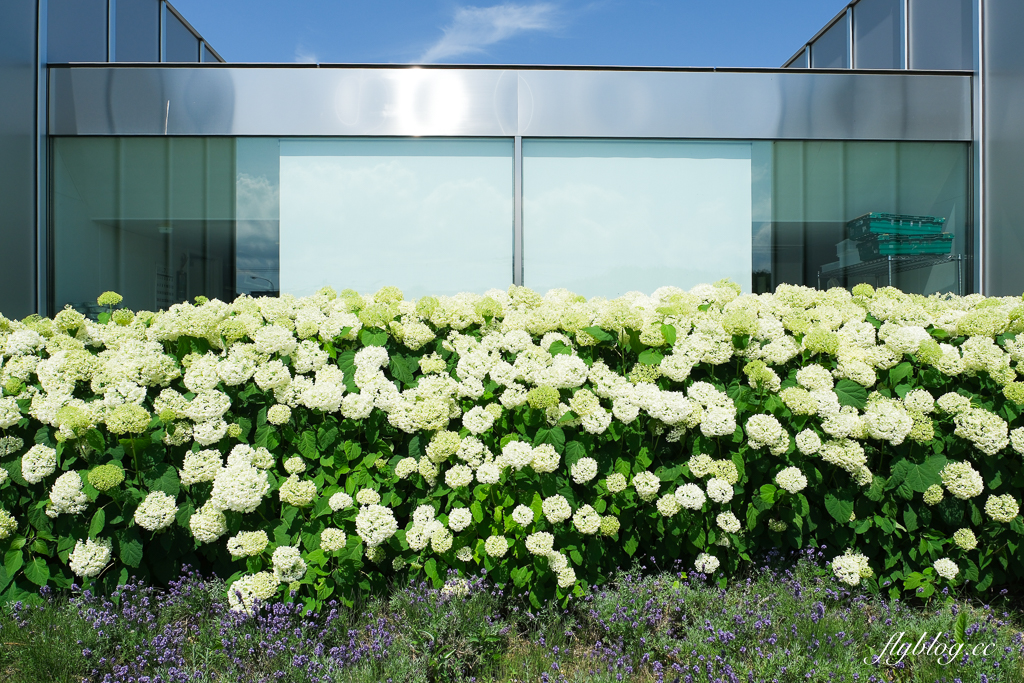 日本北海道｜美瑛選果本店 Biei Senka．結合米其林餐廳、麵包店、甜點店和蔬果市場，美瑛伴手禮推薦 @飛天璇的口袋