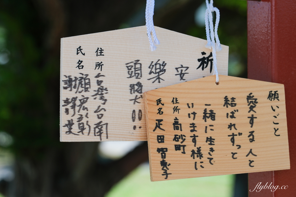 日本北海道｜ 美瑛神社．北海道著名戀愛神社，必買丘陵御守和玉米御神籤 @飛天璇的口袋