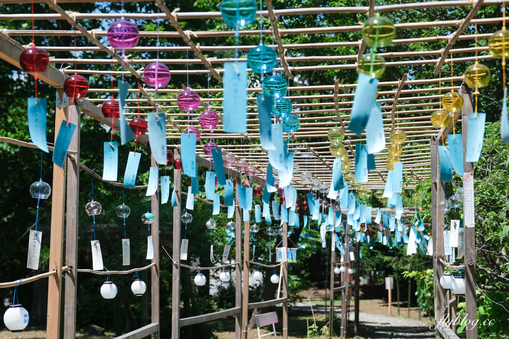 日本北海道｜ 美瑛神社．北海道著名戀愛神社，必買丘陵御守和玉米御神籤 @飛天璇的口袋