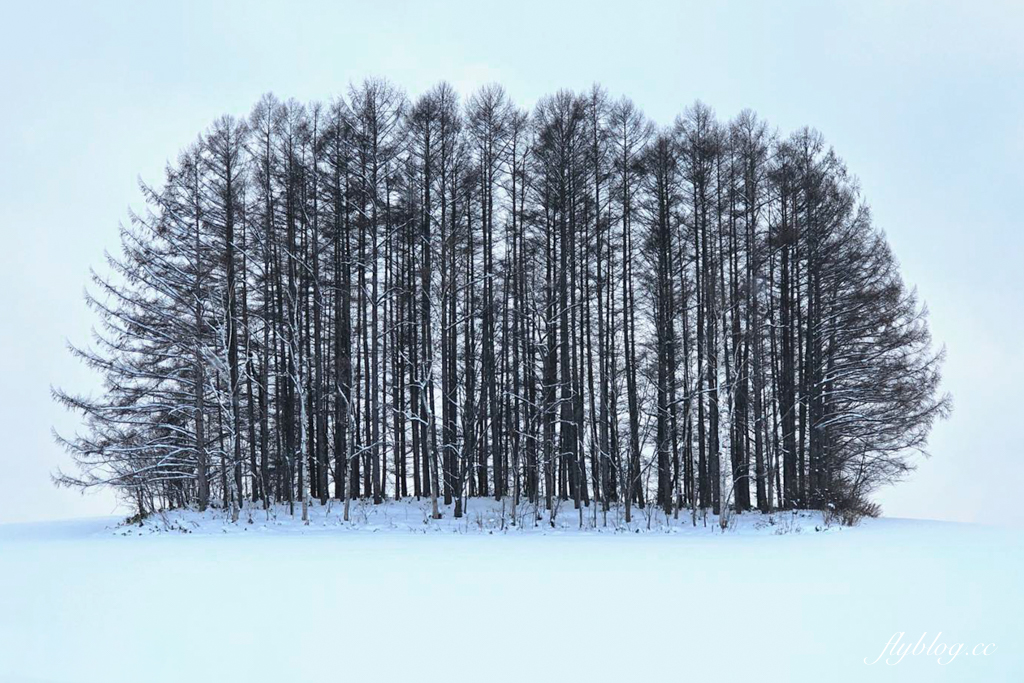 台中南屯｜鬍鬚張魯肉飯．紅到日本的滷肉飯，滷肉飯節人氣第一名 @飛天璇的口袋