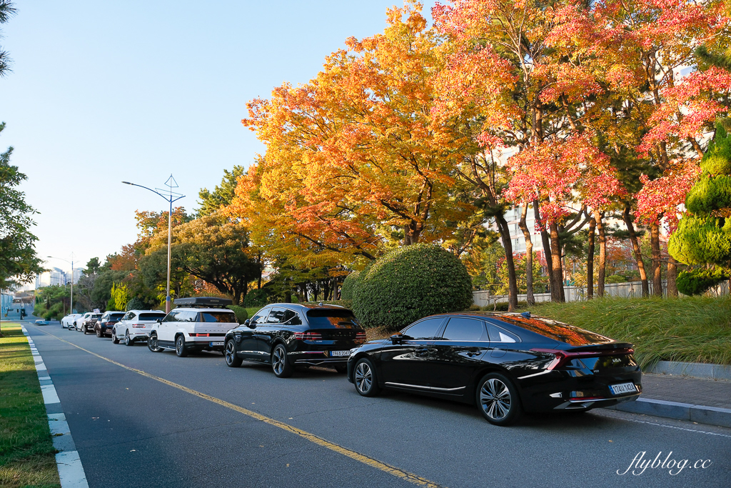 韓國釜山｜釜山柏悅酒店 PARK HYATT BUSAN．海雲台下午茶咖啡廳，正對海雲台電影大道 @飛天璇的口袋