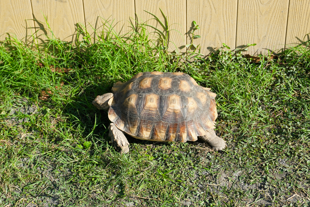 台中西屯｜那日那茶．田野間的中式茶屋，在庭院圍爐煮茶 @飛天璇的口袋