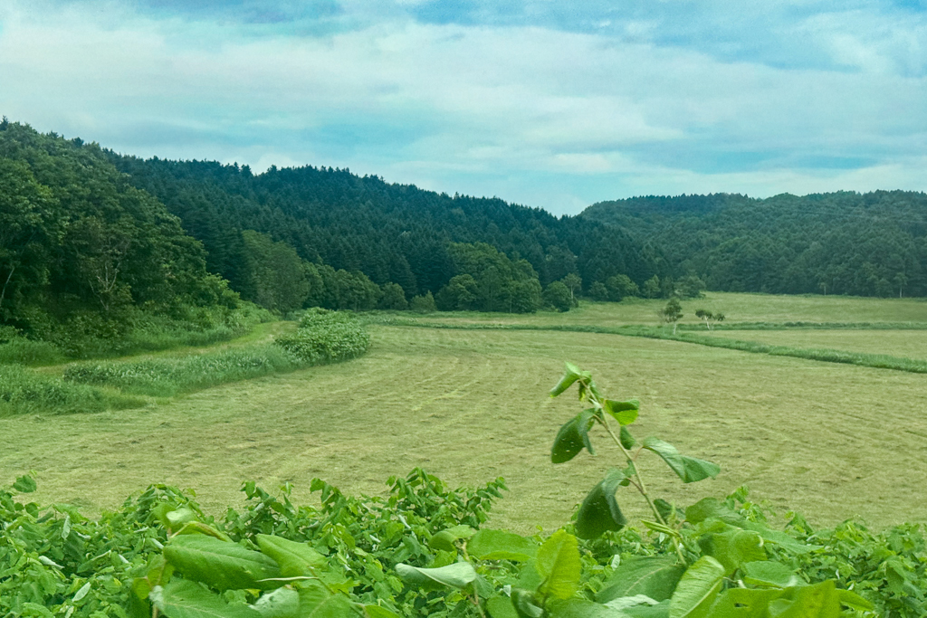 日本北海道|宗谷號特快車.從旭川到稚內的交通方式,JR鐵路4小時乘車體驗 @飛天璇的口袋 日本北海道|宗谷號特快車.從旭川到稚內的交通方式,JR鐵路4小時乘車體驗 @飛天璇的口袋