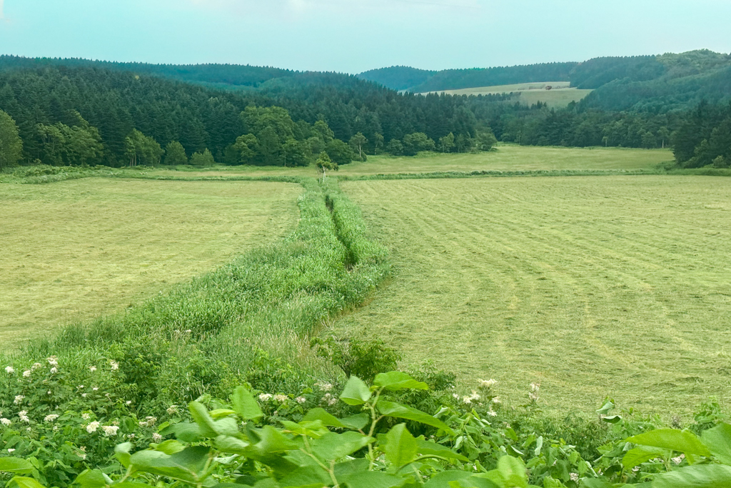 日本北海道｜宗谷號特快車．從旭川到稚內的交通方式，JR鐵路4小時乘車體驗 @飛天璇的口袋