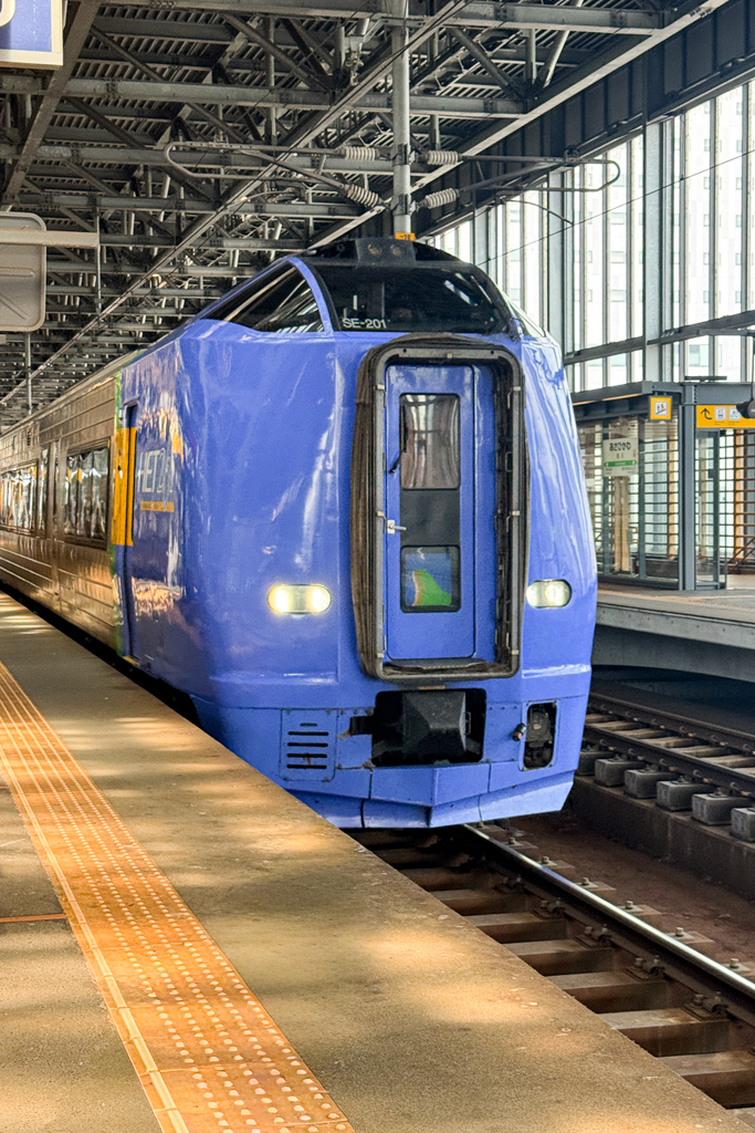 日本北海道|宗谷號特快車.從旭川到稚內的交通方式,JR鐵路4小時乘車體驗 @飛天璇的口袋 日本北海道|宗谷號特快車.從旭川到稚內的交通方式,JR鐵路4小時乘車體驗 @飛天璇的口袋