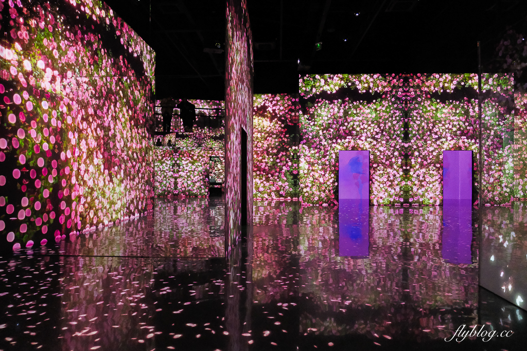 韓國釜山｜ARTE MUSEUM．全球最大沉浸式光影美術館，19個主題展覽區美拍 @飛天璇的口袋