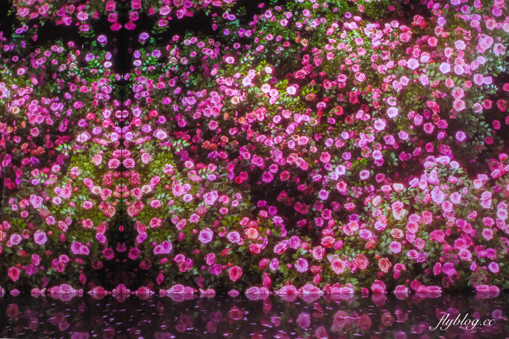 韓國釜山｜ARTE MUSEUM．全球最大沉浸式光影美術館，19個主題展覽區美拍 @飛天璇的口袋