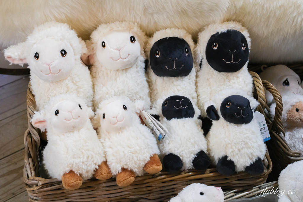 紐西蘭南島|TSS 恩斯羅號蒸汽船遊船.瓦爾特峰BBQ百匯吃到飽,一飽皇后鎮瓦卡蒂普湖之美 @飛天璇的口袋 紐西蘭南島|TSS 恩斯羅號蒸汽船遊船.瓦爾特峰BBQ百匯吃到飽,一飽皇后鎮瓦卡蒂普湖之美 @飛天璇的口袋