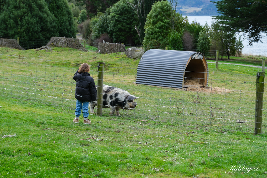 紐西蘭南島｜TSS 恩斯羅號蒸汽船遊船．瓦爾特峰BBQ百匯吃到飽，一飽皇后鎮瓦卡蒂普湖之美 @飛天璇的口袋