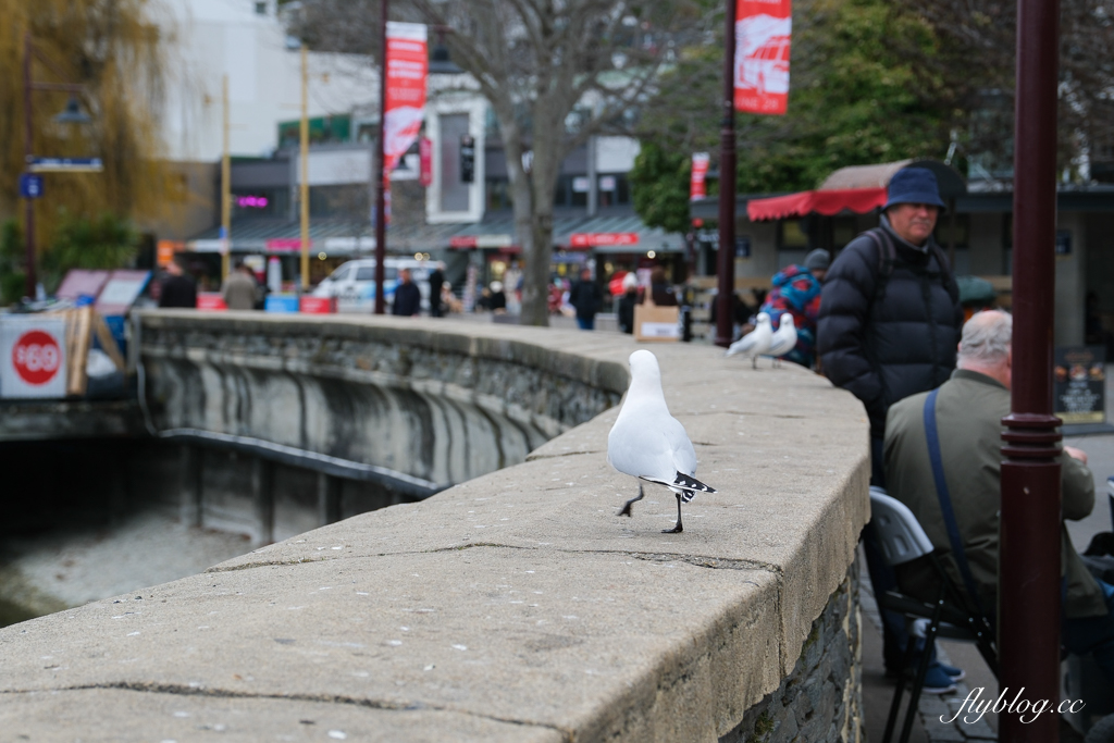 紐西蘭南島|TSS 恩斯羅號蒸汽船遊船.瓦爾特峰BBQ百匯吃到飽,一飽皇后鎮瓦卡蒂普湖之美 @飛天璇的口袋 紐西蘭南島|TSS 恩斯羅號蒸汽船遊船.瓦爾特峰BBQ百匯吃到飽,一飽皇后鎮瓦卡蒂普湖之美 @飛天璇的口袋