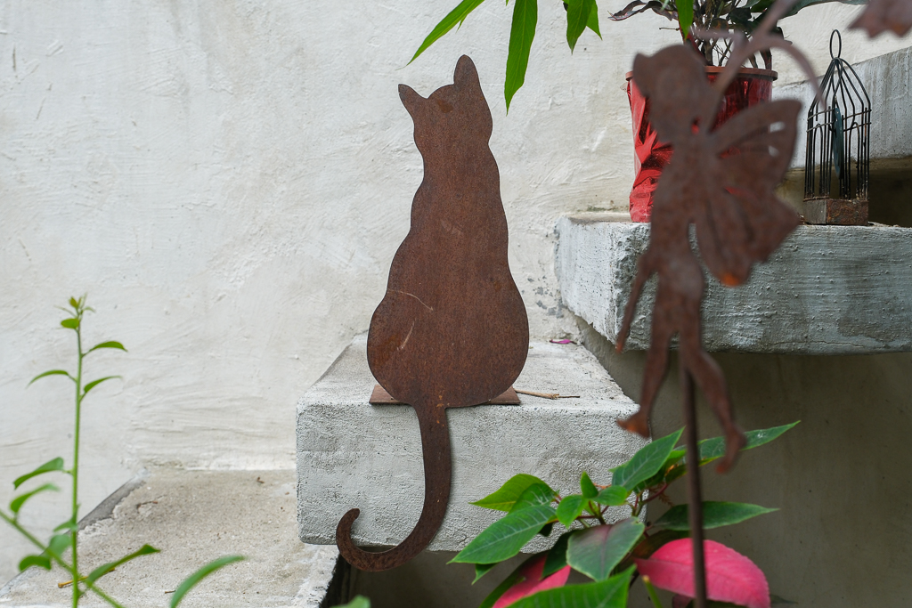 台中北屯|Mooie 花園餐廳.充滿綠意的都市小森林,前Fatty’s老闆的義大利麵品牌 @飛天璇的口袋 台中北屯|Mooie 花園餐廳.充滿綠意的都市小森林,前Fatty’s老闆的義大利麵品牌 @飛天璇的口袋