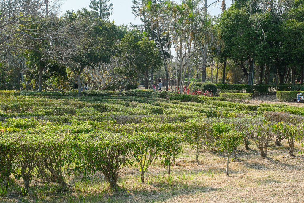 【2026花在彰化】溪州公園.20週年花城時旅,2/17~3/1活動熱鬧展開 @飛天璇的口袋 【2026花在彰化】溪州公園.20週年花城時旅,2/17~3/1活動熱鬧展開 @飛天璇的口袋
