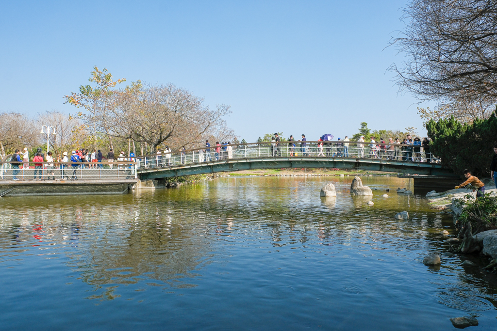 【2026花在彰化】溪州公園．20週年花城時旅，2/17~3/1活動熱鬧展開 @飛天璇的口袋