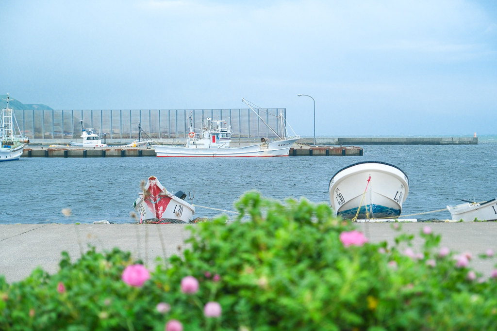 日本北海道｜野布寒岬．稚內最北海賞夕陽景點，遠眺立尻島和禮文島 @飛天璇的口袋