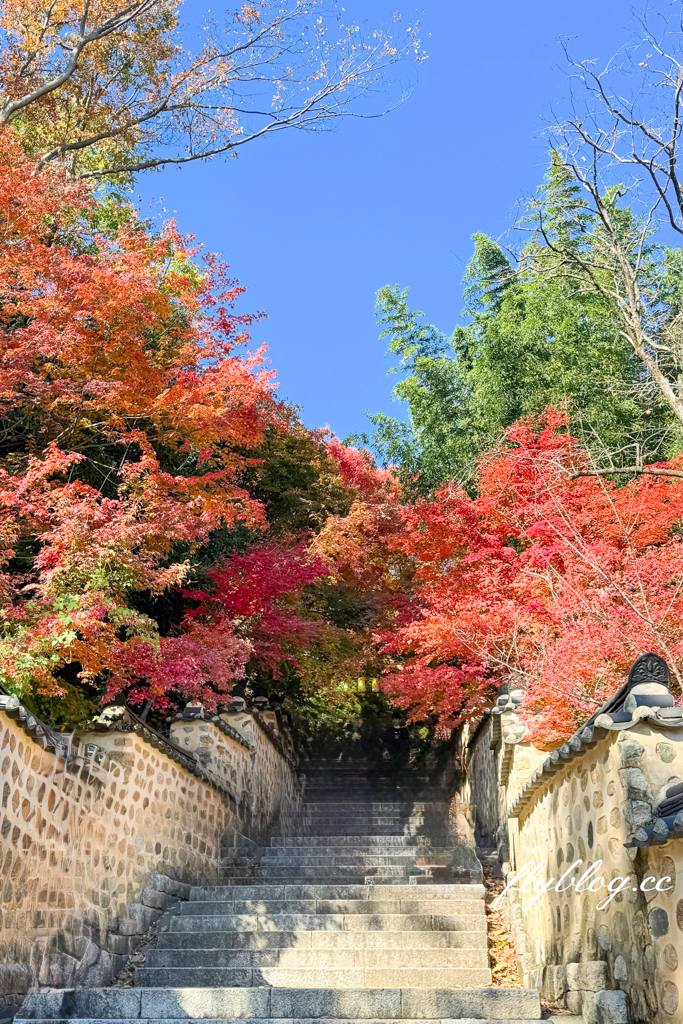 韓國釜山｜梵魚寺．釜山超美賞楓景點，韓國美麗小路之稱 @飛天璇的口袋