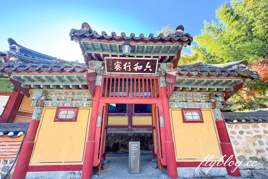 韓國釜山｜梵魚寺．釜山超美賞楓景點，韓國美麗小路之稱 @飛天璇的口袋