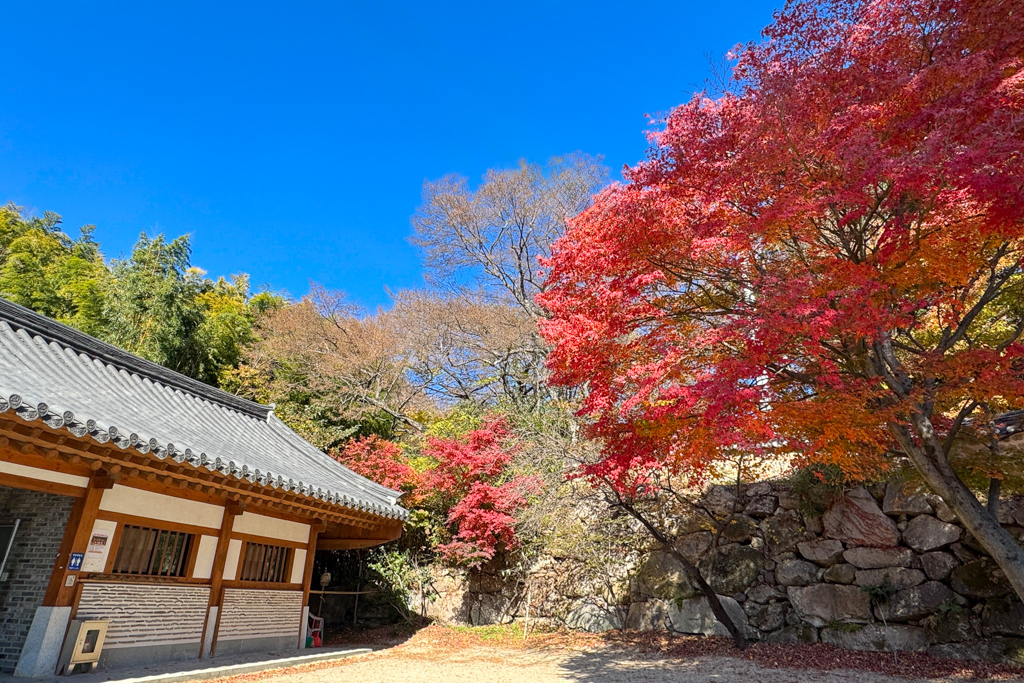 韓國釜山｜梵魚寺．釜山超美賞楓景點，韓國美麗小路之稱 @飛天璇的口袋