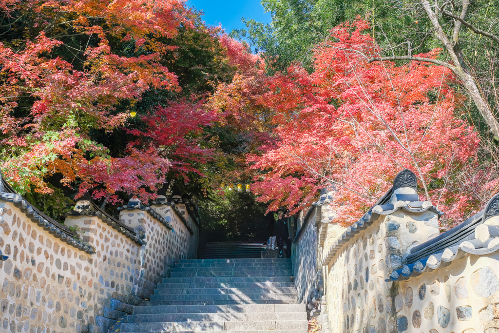 韓國釜山｜梵魚寺．釜山超美賞楓景點，韓國美麗小路之稱 @飛天璇的口袋