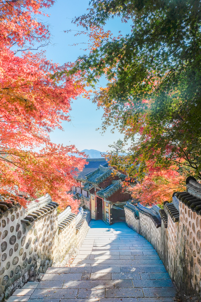 韓國釜山｜梵魚寺．釜山超美賞楓景點，韓國美麗小路之稱 @飛天璇的口袋