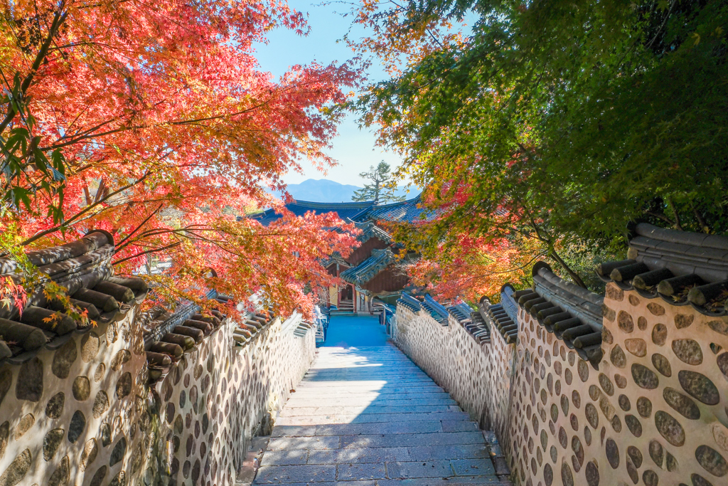 台中北屯｜在滷味．總站夜市好吃冷滷，近30種食材可以選擇 @飛天璇的口袋