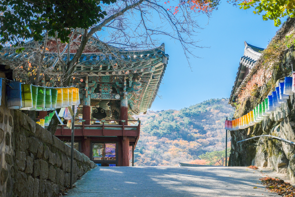 韓國釜山｜梵魚寺．釜山超美賞楓景點，韓國美麗小路之稱 @飛天璇的口袋