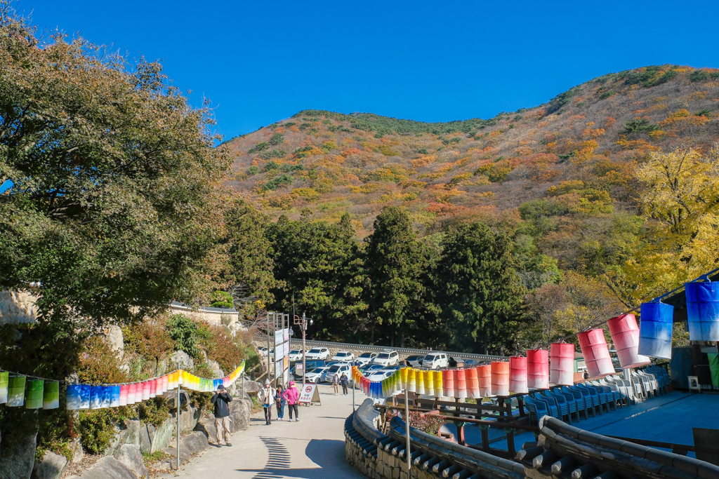 韓國釜山｜梵魚寺．釜山超美賞楓景點，韓國美麗小路之稱 @飛天璇的口袋