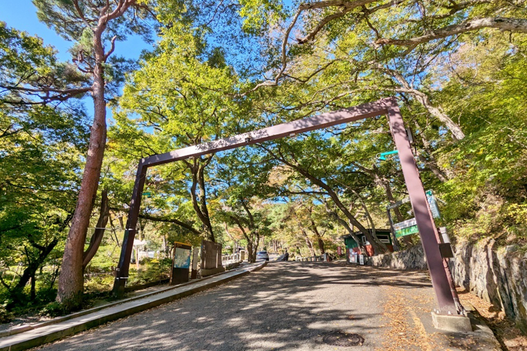 韓國釜山｜梵魚寺．釜山超美賞楓景點，韓國美麗小路之稱 @飛天璇的口袋