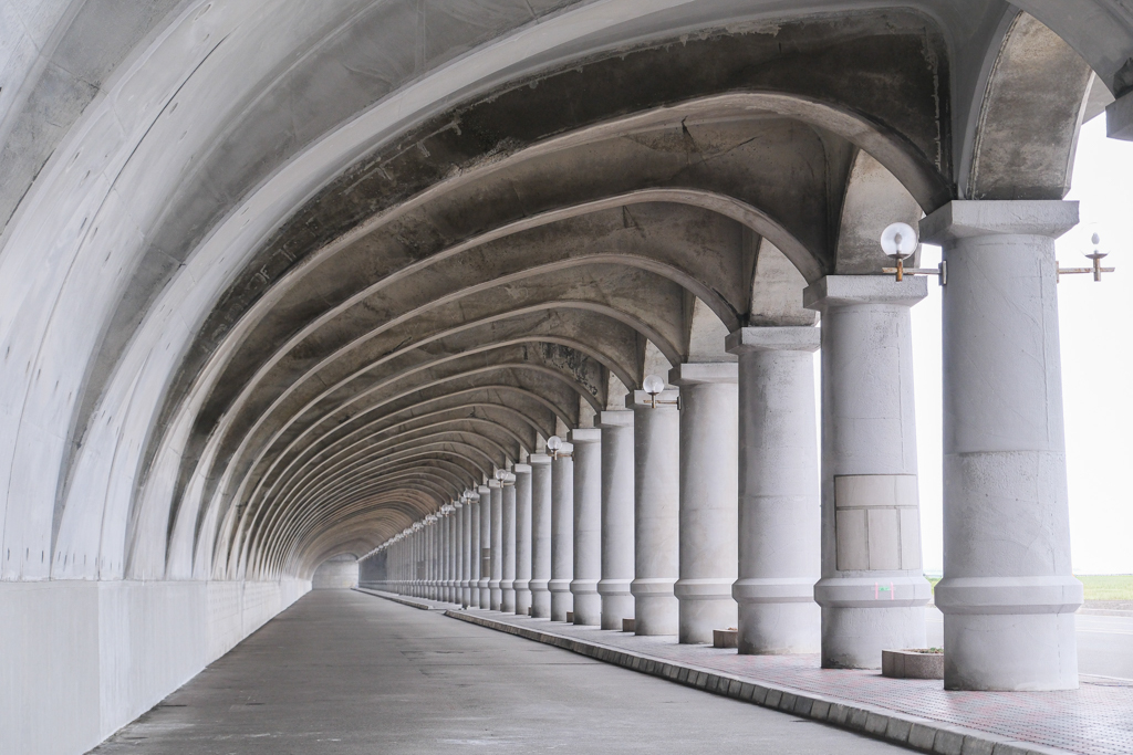桃園大園｜陽榮生態農場，門票100元抵消費，撿雞蛋、摸蜆仔、釣青蛙、餵動物 @飛天璇的口袋