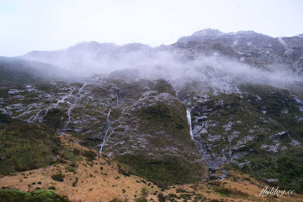 紐西蘭南島|米爾福德峽灣.被譽為世界第八大奇景,皇后鎮蒂阿瑙出發一日遊 @飛天璇的口袋 紐西蘭南島|米爾福德峽灣.被譽為世界第八大奇景,皇后鎮蒂阿瑙出發一日遊 @飛天璇的口袋