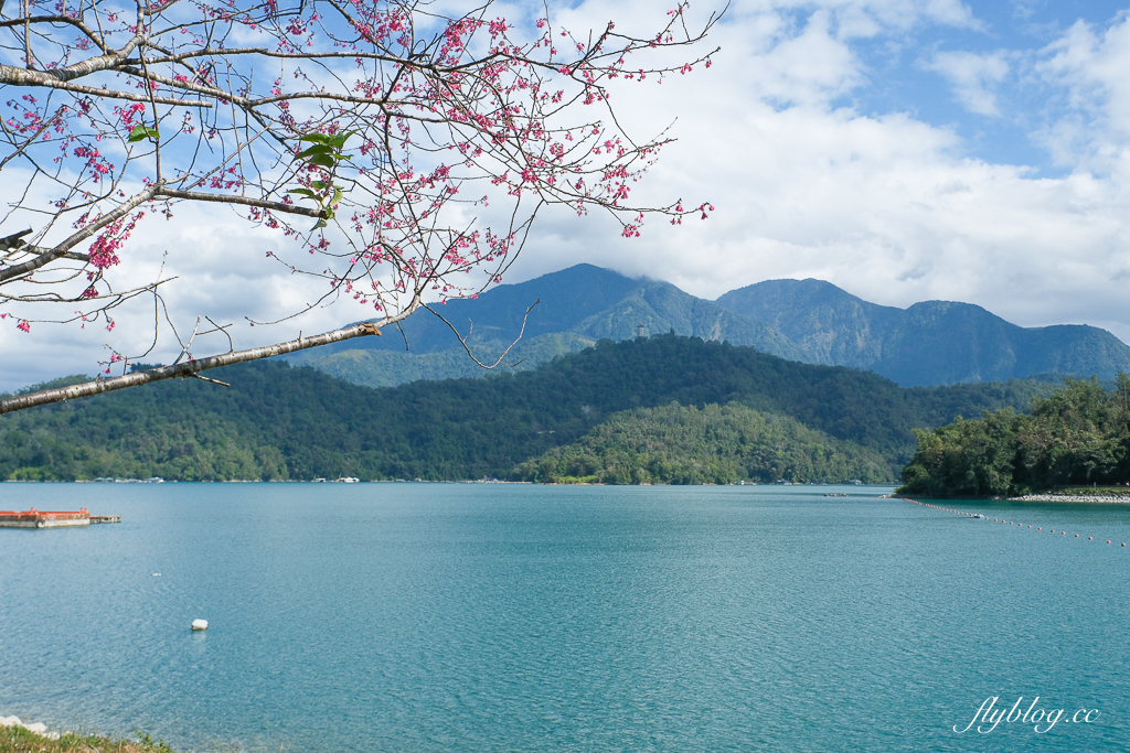【日月潭3天2夜行程】南投魚池這樣玩！騎自行車環湖、搭纜車、吃美食、訪秘境 @飛天璇的口袋
