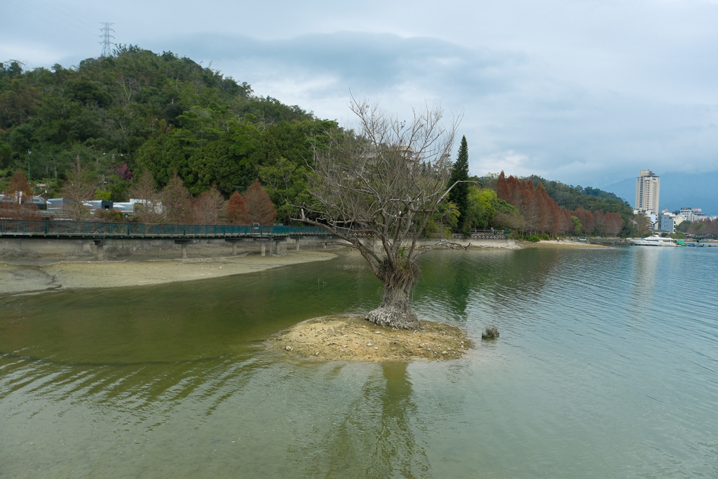 【日月潭3天2夜行程】南投魚池這樣玩！騎自行車環湖、搭纜車、吃美食、訪秘境 @飛天璇的口袋