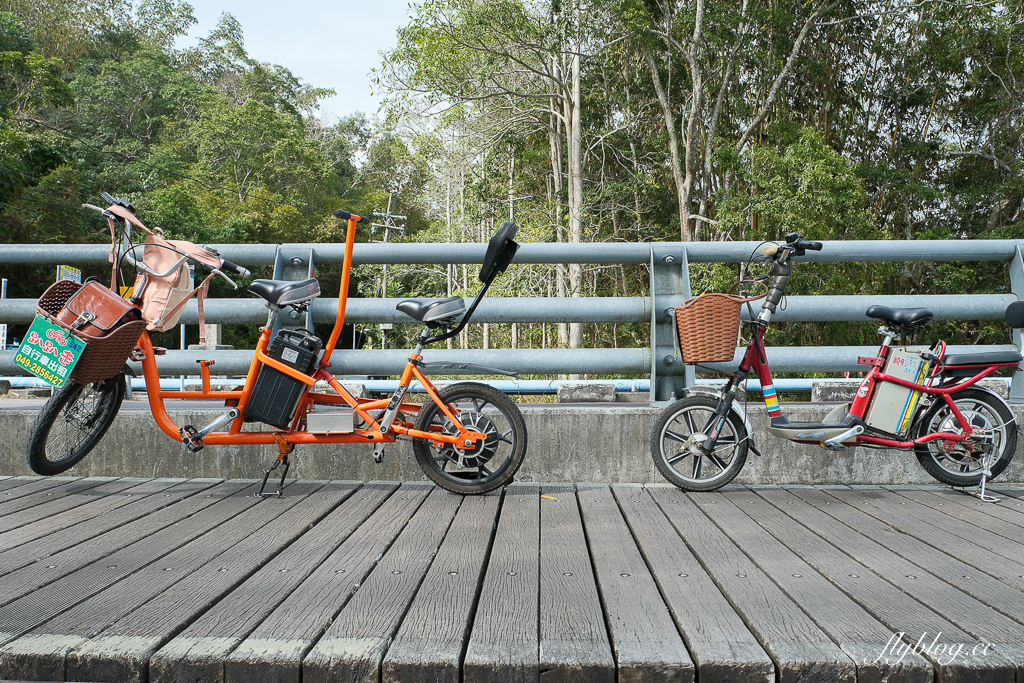 【日月潭3天2夜行程】南投魚池這樣玩！騎自行車環湖、搭纜車、吃美食、訪秘境 @飛天璇的口袋
