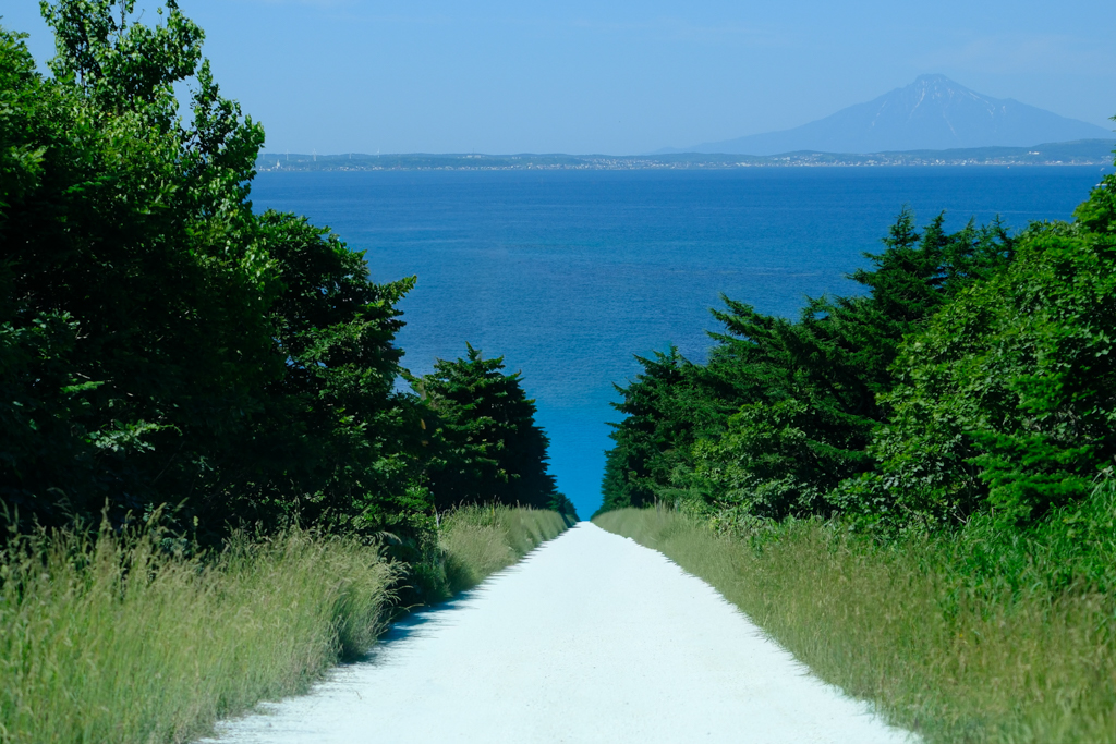 台中霧峰｜日染樹梢．結合底片體驗與咖啡甜點，充滿植栽的用餐空間 @飛天璇的口袋