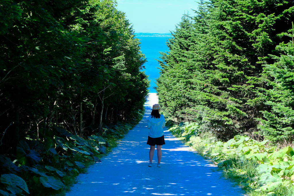 日本北海道｜白色貝殼之道．鋪滿帆立貝貝殼的白色小路，Instagram稚內打卡超美景點 @飛天璇的口袋