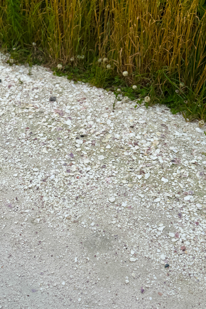 日本北海道｜白色貝殼之道．鋪滿帆立貝貝殼的白色小路，Instagram稚內打卡超美景點 @飛天璇的口袋