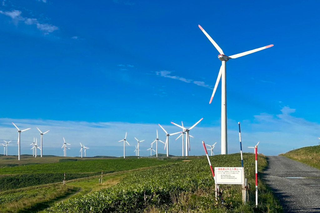 日本北海道｜白色貝殼之道．鋪滿帆立貝貝殼的白色小路，Instagram稚內打卡超美景點 @飛天璇的口袋