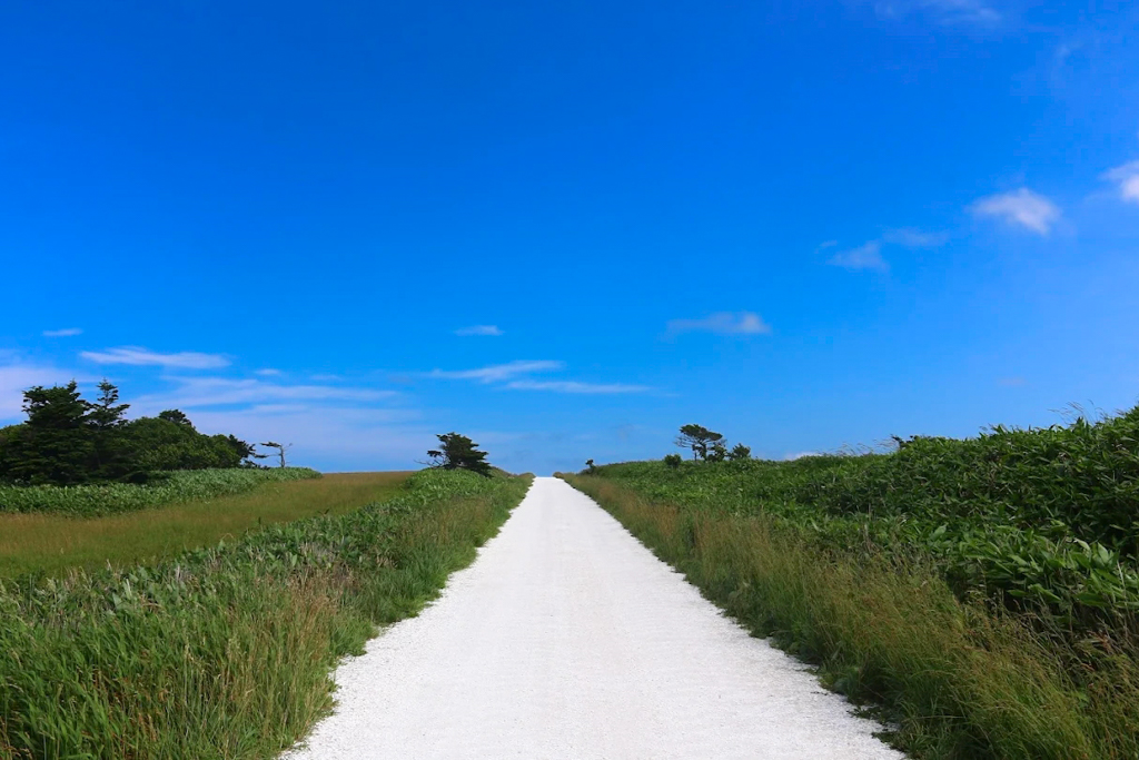 日本北海道｜白色貝殼之道．鋪滿帆立貝貝殼的白色小路，Instagram稚內打卡超美景點 @飛天璇的口袋