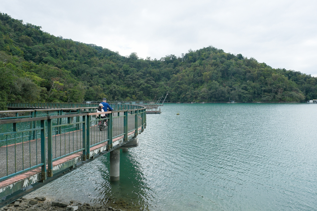 南投魚池｜水蛙頭步道．全長500公尺木棧步道，九蛙疊羅漢像就在這裡 @飛天璇的口袋